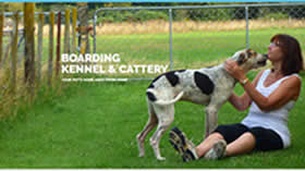 Spring Grove Kennels